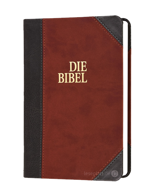 Die Bibel Schlachter 2000